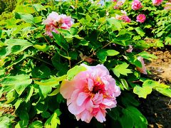 -江南大学(蠡湖校区)