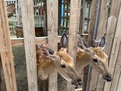 -水上乐园·欢乐世界