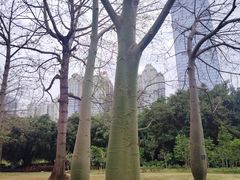 -南宁南湖公园