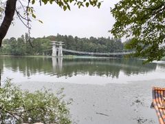 -东湖落雁景区