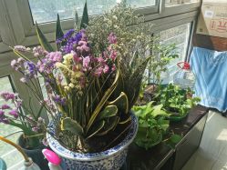 -Yumi优米日式美甲美睫