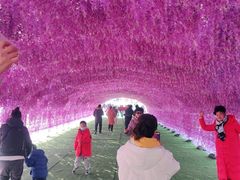 -绿野森林乐园冰雪季