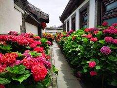 -戚继光故里