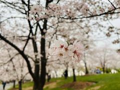 -上海辰山植物园