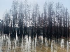 -白鹭湾湿地公园