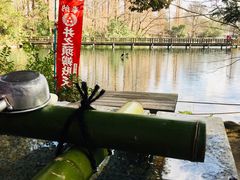-井之头恩赐公园
