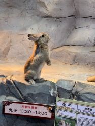 -Zoolung Zoolung动物主题公园(海信广场店)