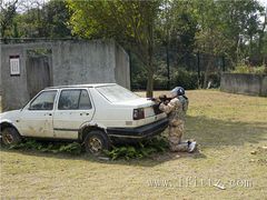 -iFIT真人CS彩弹野战基地