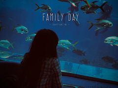 -瑞德姆美人鱼海底演艺主题餐厅(亚龙湾店)
