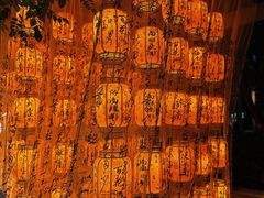 -百花洲