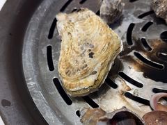 -大锅强·蒸海鲜青岛菜(金沙滩店)