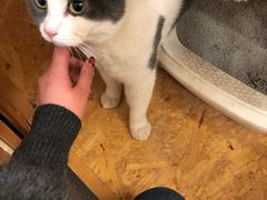 -颐玖 咖啡|甜品