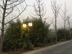 -帐篷客·溪龙茶谷度假酒店