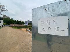 -光明小镇欢乐田园
