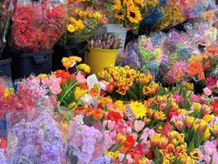-越秀西湖花市(广州城市广场花卉店)