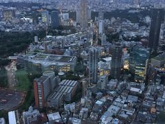-六本木新城展望台(东京城市景观)