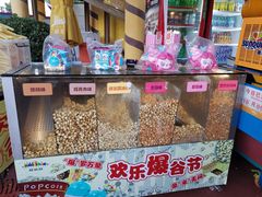 -北京欢乐谷