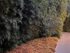 -月坛公园