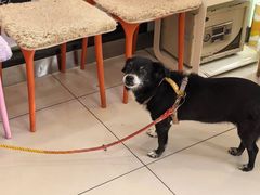 -纳吉亚猫专科动物医院博雅分院