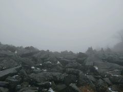 -凤凰山国家森林公园