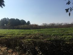 -凤凰沟景区