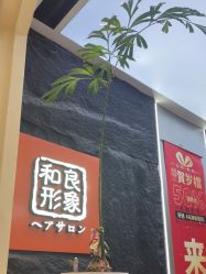 -和良形象