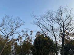 -同里国家湿地公园