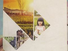 -田园东方蜜桃村的田野营地