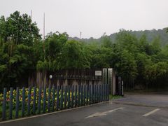 -都江堰中华大熊猫苑