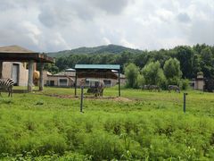 -哈尔滨北方森林动物园