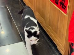 -龙华素斋(龙华路店)