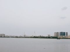 -万绿园