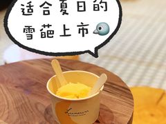 雪葩杏子百里香叶-Luneurs(幸福里店)