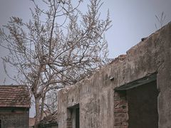 -钟鼓楼