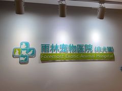 -雨林宠物医院 非犬猫异宠专科