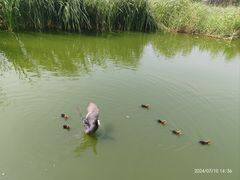 -前关湿地公园