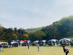-龙寺生态园