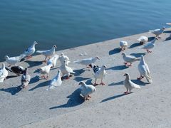 -上海交通大学(闵行校区)