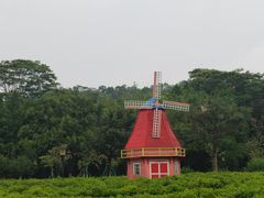 -东莞植物园