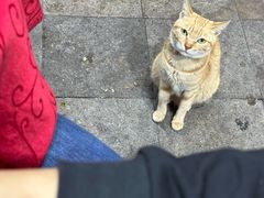 -南门老五腐乳粿