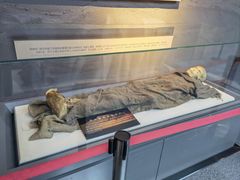 -巴音郭楞蒙古自治州博物馆