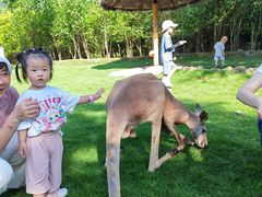 -泉州海丝野生动物世界