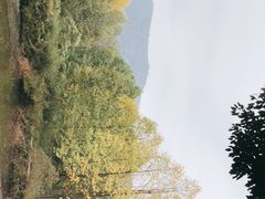 -石塘人家
