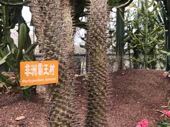 -南通洲际绿博园