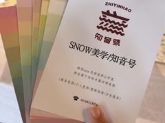 -武汉知音号