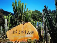 -深圳仙湖植物园