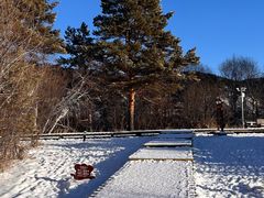 -北极村旅游风景区