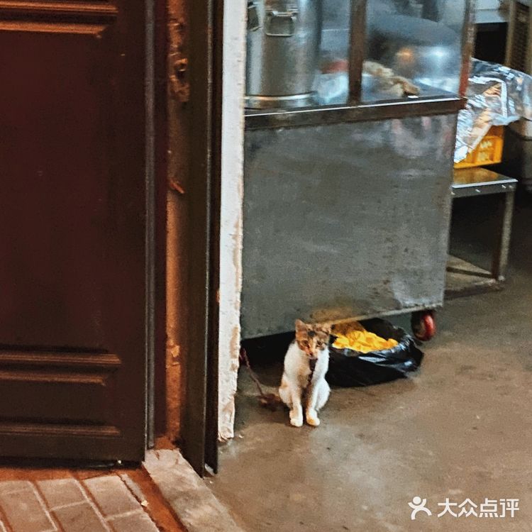他说这里老房子多，意味着也多
