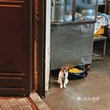 他说这里老房子多，意味着也多