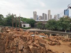 -昆明动物园